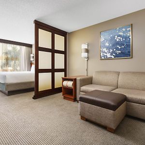 King Room Sofa Bed